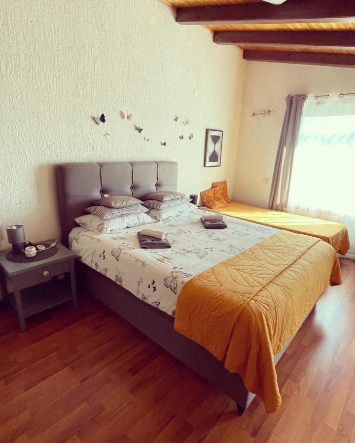Lux Apartment Barbara Poreč Eksteriør billede